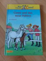 Buch, Conni und das neue Fohlen, Meine Freundin Conni Baden-Württemberg - Schwieberdingen Vorschau