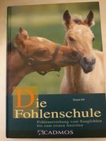 Die Fohlenschule Sachsen-Anhalt - Möser Vorschau