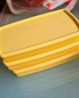 Tupperware Gefrierdosen Niedersachsen - Salzgitter Vorschau