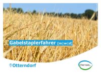 Gabelstaplerfahrer (m/w/d) Niedersachsen - Otterndorf Vorschau