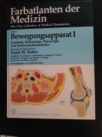 Anatomie, Medizin / Physiotherapie, Netter Stuttgart - Zuffenhausen Vorschau