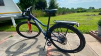 Specialized Teenager MTB 16 Jynx Sport 650B RH S Schleswig-Holstein - Krummwisch Vorschau