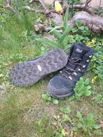 Jack Wolfskin Wanderschuhe Brandenburg - Cottbus Vorschau