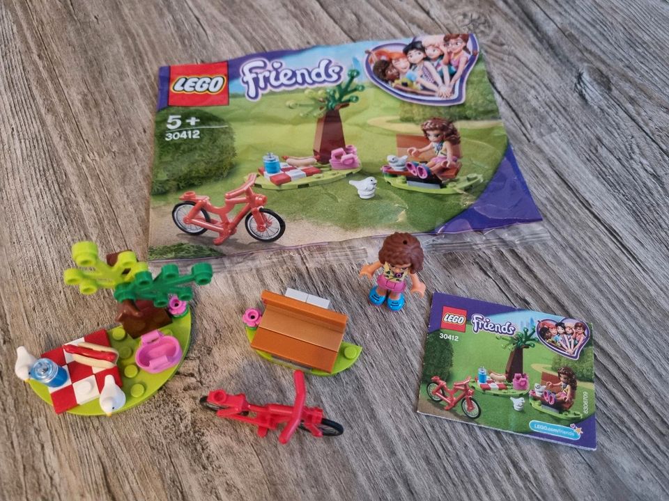 Lego Friends Picknick im Park Mädchen in Bad Honnef
