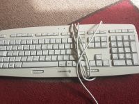 Verkaufe PC Tastatur CHERRY Rheinland-Pfalz - Kaiserslautern Vorschau