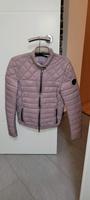 Steppjacke Hessen - Neu-Anspach Vorschau