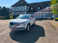 Skoda Kodiaq 1.5tsi Niedersachsen - Barsinghausen Vorschau