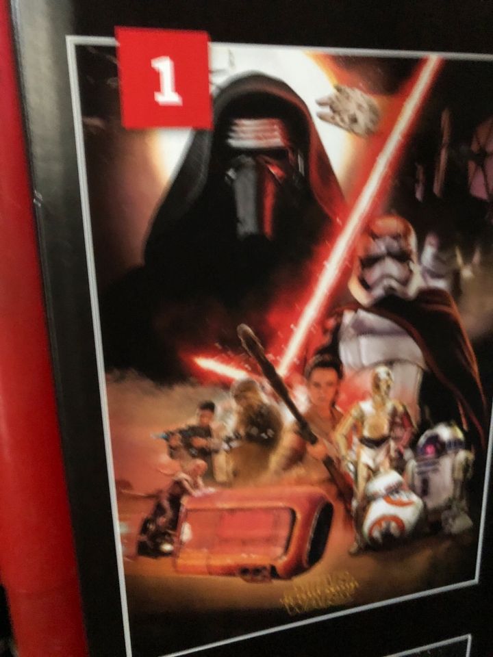 Reinders Maxi Poster 1-4 Star Wars the Force awakens in Nordrhein-Westfalen  - Lünen | eBay Kleinanzeigen ist jetzt Kleinanzeigen