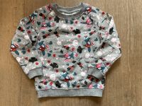 Papagino Sweatshirt Pullover Hase Esel Gr. 98/104 grau wie NEU Hessen - Schwalmstadt Vorschau