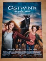 **Kinoplakat Kinoposter Poster Ostwind - Der große Orkan*** Bayern - Weihenzell Vorschau