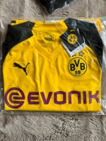 BVB Borussia Dortmubd Trikot Heim Puma 2018/2019 evonik gelb S Nordrhein-Westfalen - Lippstadt Vorschau