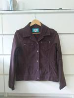 Blazer Jacke gr. M von Cecil Dortmund - Hombruch Vorschau
