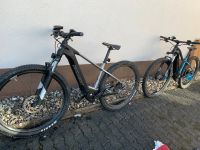 2x Bergamont E-Bike Revox Sport Nordrhein-Westfalen - Freudenberg Vorschau