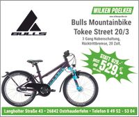 Bulls Tokee Street Lila 20 Zoll 3 Gang Kinderfahrrad Mountainbike Niedersachsen - Ostrhauderfehn Vorschau