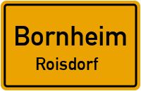 Minijob Zeitungszustellung in 53332 ROISDORF in Bornheim