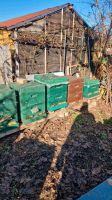 starke/ertragreiche GÜNSTIGECarnica Bienen Völker zu verkaufen! Nordrhein-Westfalen - Düren Vorschau