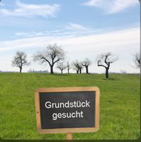 In St. Peter Ording Kleine Grasfläche von ca. 200 qm2 gesucht Dithmarschen - Meldorf Vorschau
