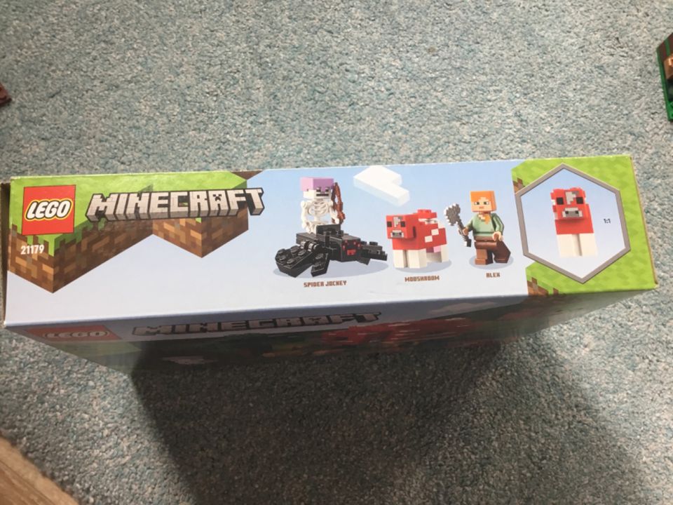 Lego Minecraft-Sets (alle Sets sind vollständig) Preis 7-17€ in Kiel