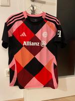 FC Bayern Trikot, Damen, NEU, Adidas, Größe L Bayern - Regenstauf Vorschau