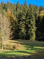 Haus im Osterzgebirge Sachsen - Hermsdorf-Seyde Vorschau