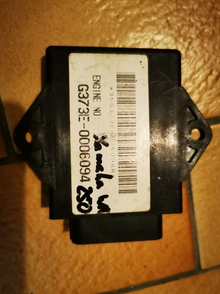 Yamaha WR 250 4Takt BJ 2009 CDI ECU Steuergerät in Gingen an der Fils