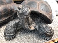 XL Schildkröte Deko Figur Skulptur Garten Inn-Outdoor Neustadt - Hohentor Vorschau