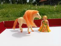 Playmobil Set Pferd mit Prinzessin Bayern - Langquaid Vorschau