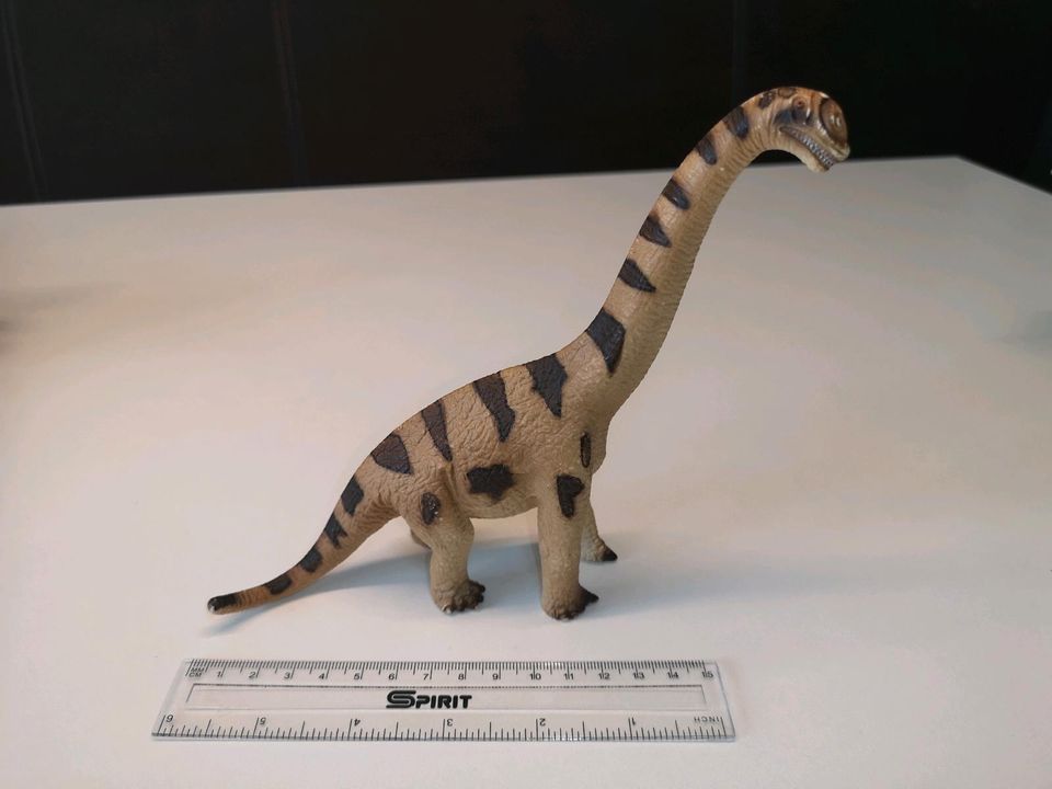 Großes Schleich Dino / Tier 14er Set in Erkner