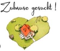 Familie sucht Haus zur Miete oder Kauf Bayern - Patersdorf Vorschau