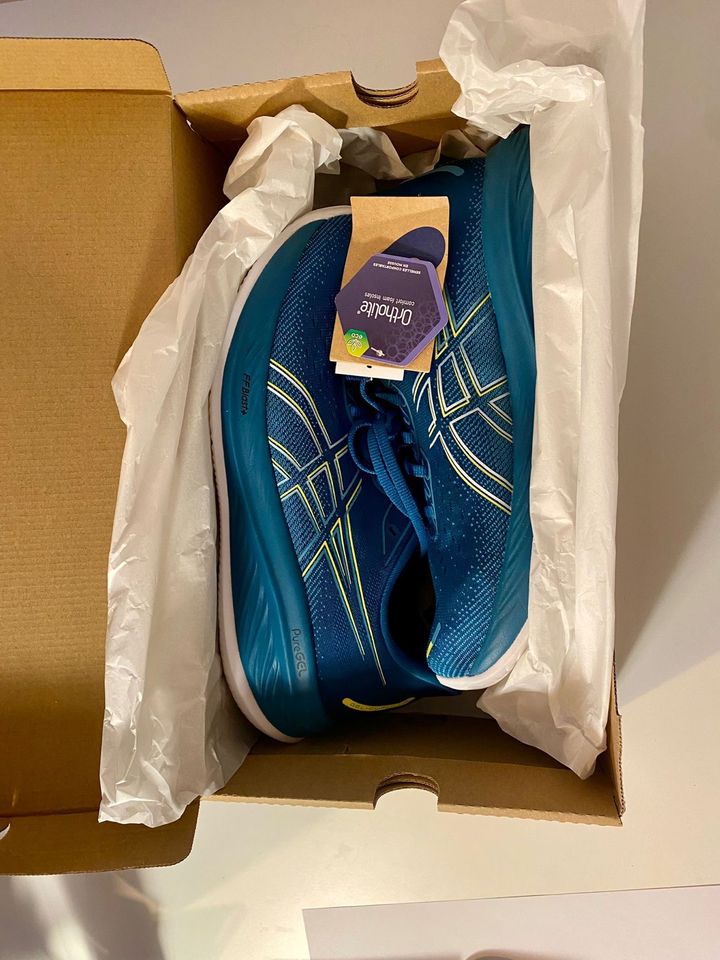 ASICS Gel Cumulus 24 Laufschuhe Sneaker 44,5 in Hamburg