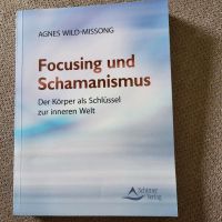 Focusing und Schamanismus Niedersachsen - Bramsche Vorschau