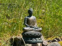 Buddhas Zuhause mit Belchen-Blick: 2-3-Familienhaus in Elbenschwand Kleines Wiesental - Wambach Vorschau