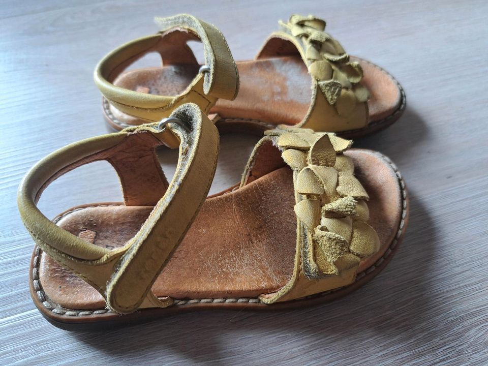 Froddo Sandalen gelb Senf Gr. 25 in Bröckel