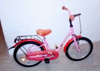 Pegasus Kinderfahrrad Rosa 16 Zoll Schleswig-Holstein - Bargteheide Vorschau