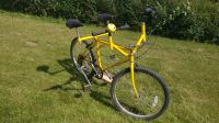 Fahrrad Buddy Bike Tandem Mecklenburg-Vorpommern - Wendorf Vorschau