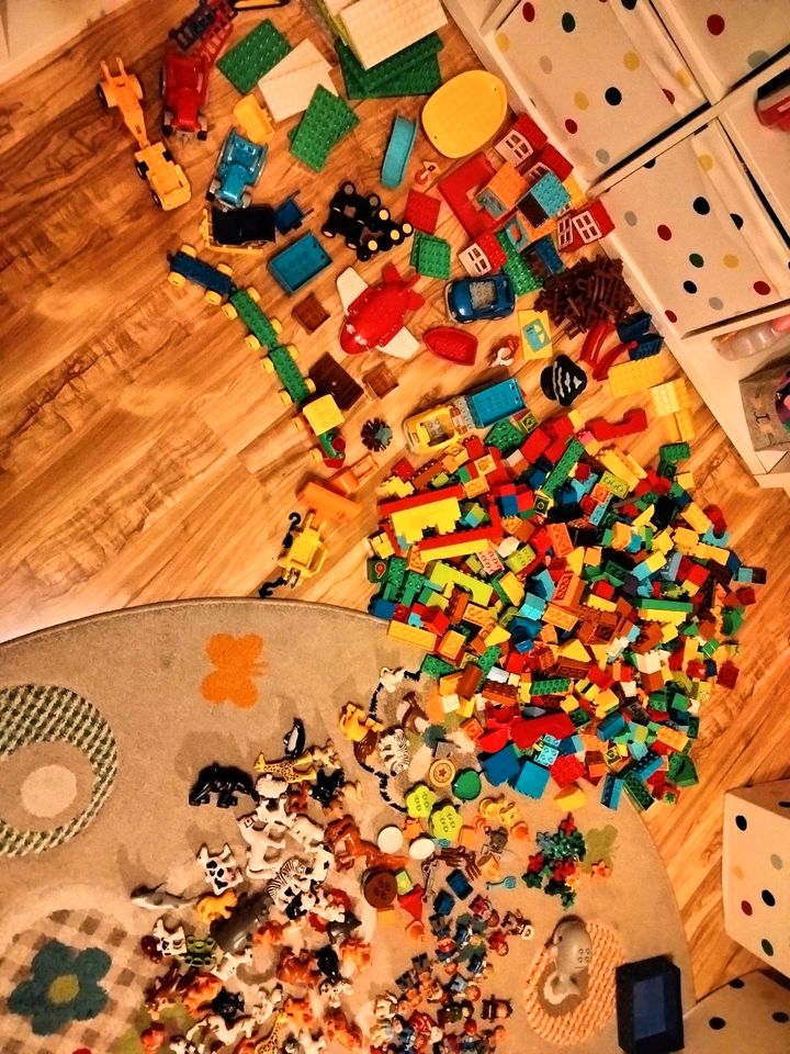 Lego Duplo riesiges Set in Dortmund