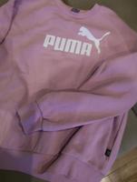 Puma Pullover Größe s Niedersachsen - Schellerten Vorschau