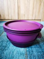 Tupperware Dampfgarset Dünster Brandenburg - Potsdam Vorschau