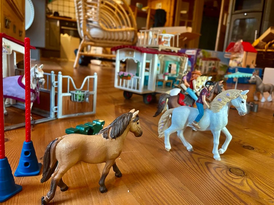 Schleich Horse Club —-XXL PAKET—-5 Sets und viel Extrazubehör in Seeheim-Jugenheim