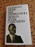 Hermann Hesse  3 Bücher in einem Buch Baden-Württemberg - Ettlingen Vorschau