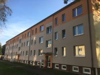 prima 4 Raumwohnung in gepflegtem Neubau in Semlow Nordvorpommern - Landkreis - Semlow Vorschau