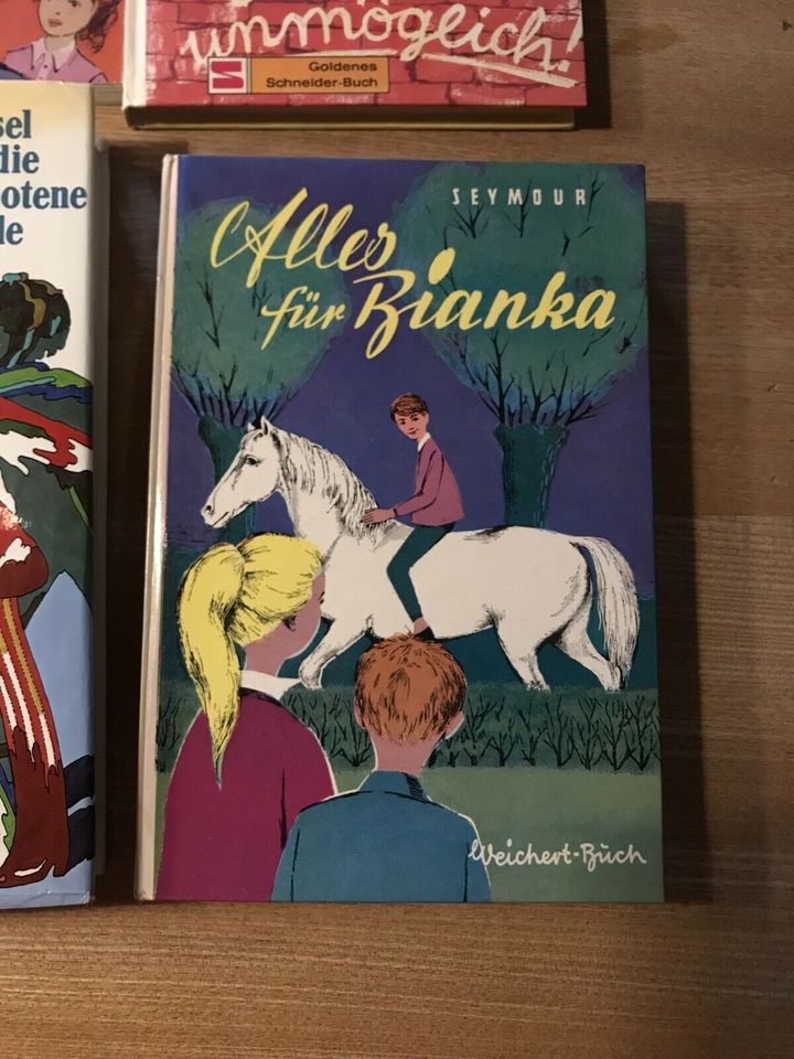 Nostalgie Kinderbücher. Je Buch von 1 bis 2€ in Frei-Laubersheim