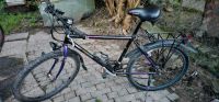 Fahrrad Mountain Star Sports Bike APEX 26 Zoll Nordrhein-Westfalen - Schwalmtal Vorschau