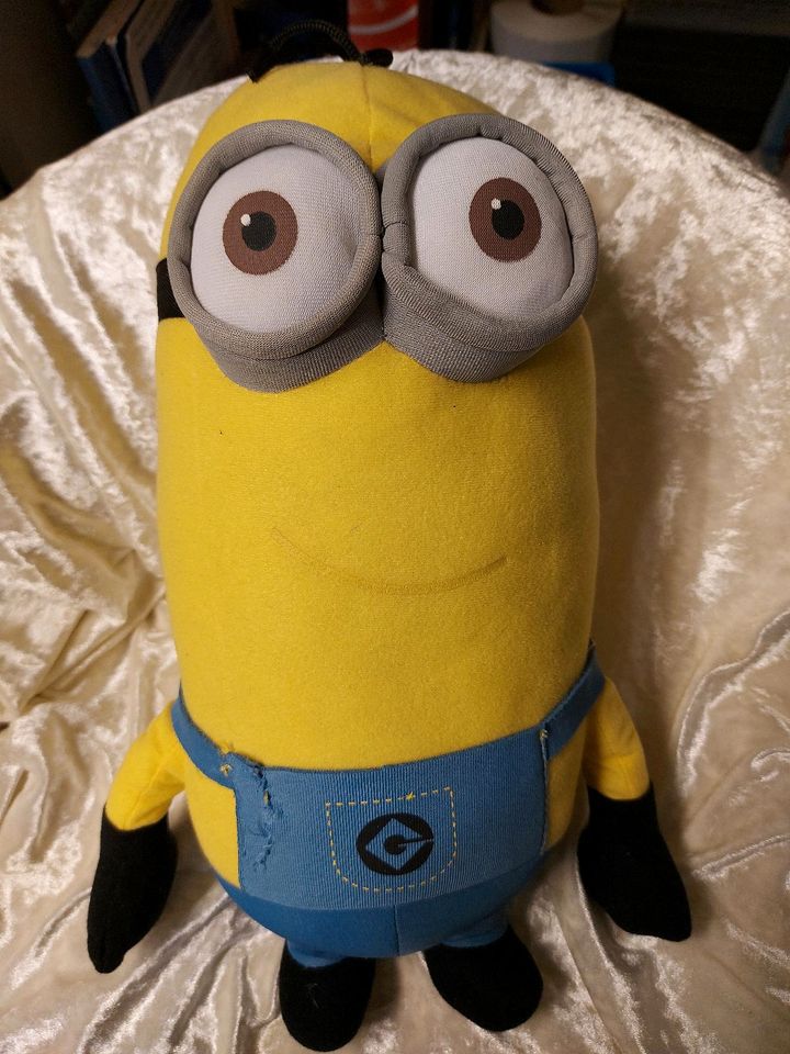 Ich einfach unverbesserlich 1-3 Blu Ray und Plüsch Minion ca.36cm in Kiel