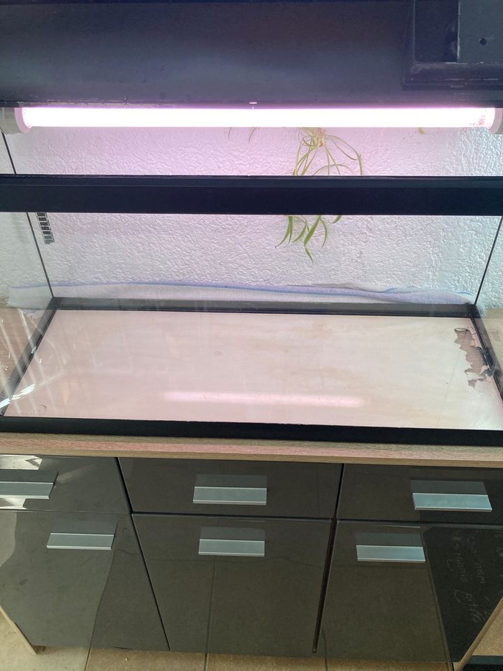 Waterhome 80l Aquarium Terrarium Starterset in Leimen