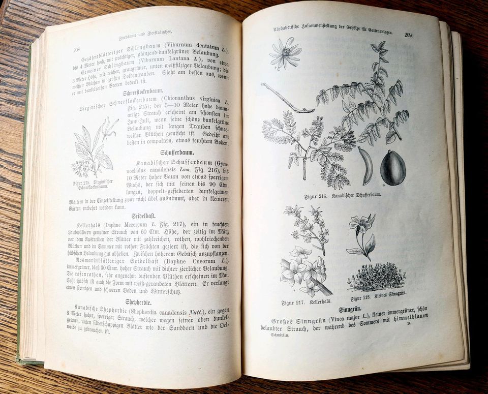 Schmidlin's Gartenbuch / 1892 / antiquarisch / Haushaltsauflösung in Camburg