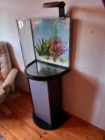 Aquarium, 60l Baden-Württemberg - St. Blasien Vorschau