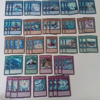 Yu-Gi-Oh - Marinzessin deck Nordrhein-Westfalen - Herzebrock-Clarholz Vorschau