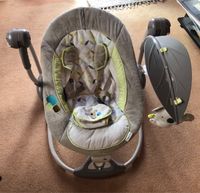 Ingenuity Elektrische Babyschaukel mit Musik und Vibration Obergiesing-Fasangarten - Obergiesing Vorschau