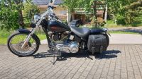 Harley Twincam Softail Vergaser Baden-Württemberg - Achern Vorschau